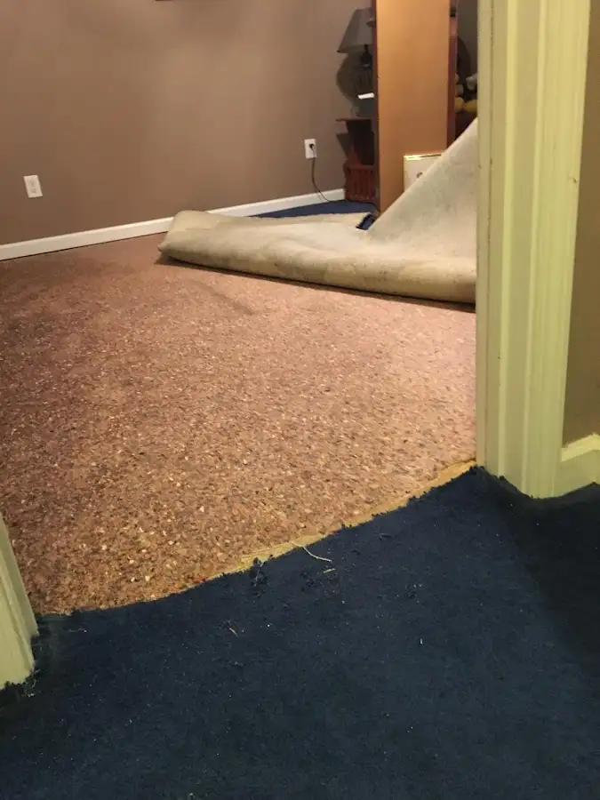 Carpet pad removal revealing water damage during Drying & Dehumidification in East Marlborough